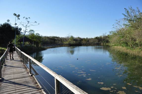 Caminhada para a área de flutuação no Aquário Natural, em Bonito, no Mato Grosso do Sul